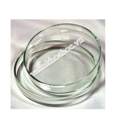 hop-long-petri.jpg