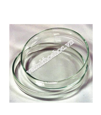 Hộp lồng petri fi 15