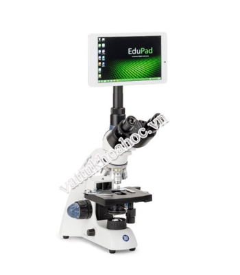 Kính hiển vi 3 mắt Bioblue.Lab có thể kết nối camera Euromex BB.1153-PLi