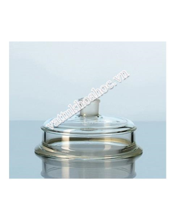 Nắp cổ mài 29/32 cho bộ dụng cụ lọc loại Witt DURAN