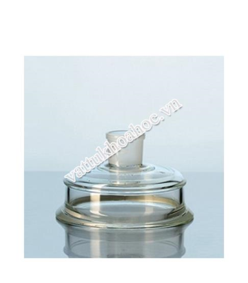 Nắp cổ mài 45/40 cho bộ dụng cụ lọc loại Witt DURAN