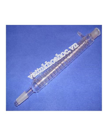 Sinh hàn xoắn nhám 29-30cm