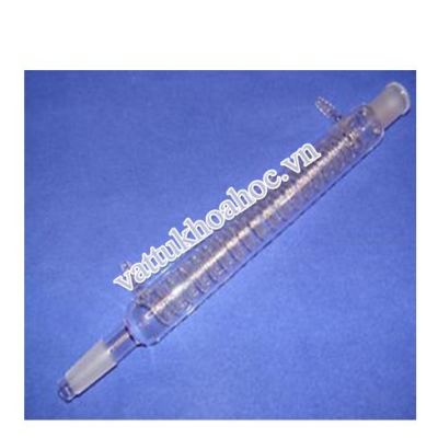 sinh_han_xoan_nham_29_30cm.jpg